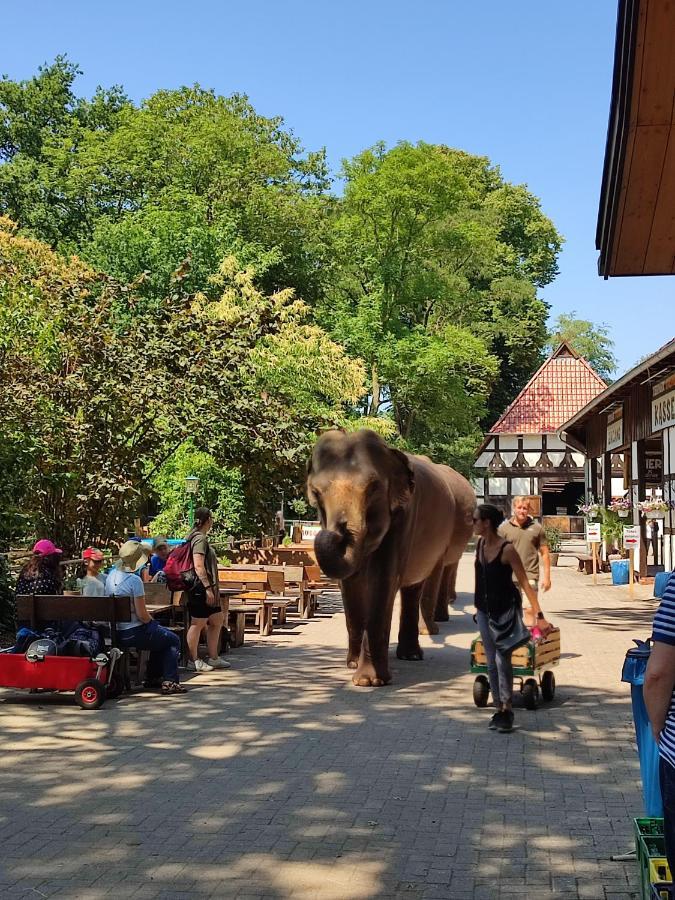 Tierpark Entdeckerhaeuser Wagenfeld Extérieur photo